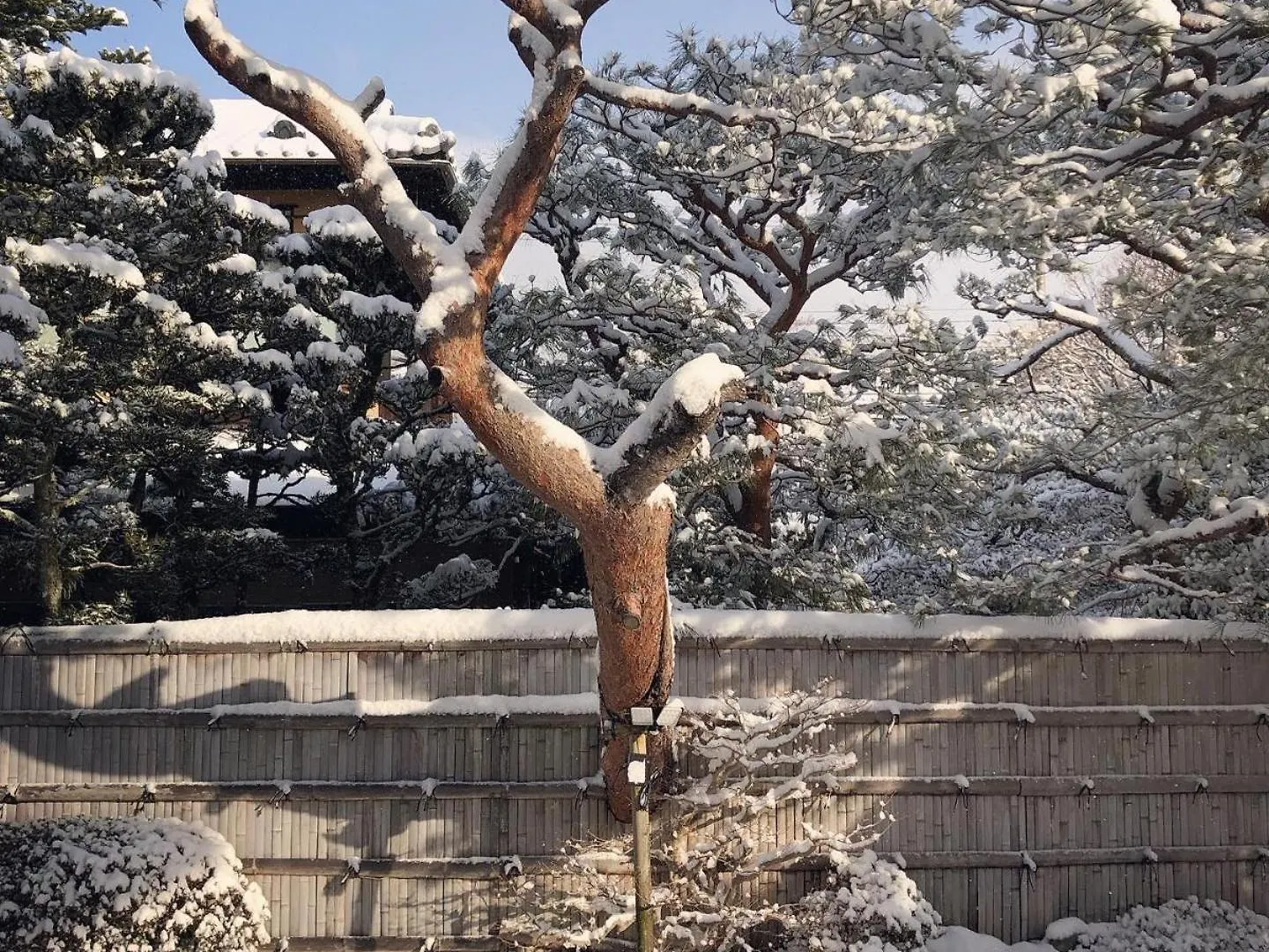 伝心庵 Garden Villa Denshin-An Kyoto Holiday home
