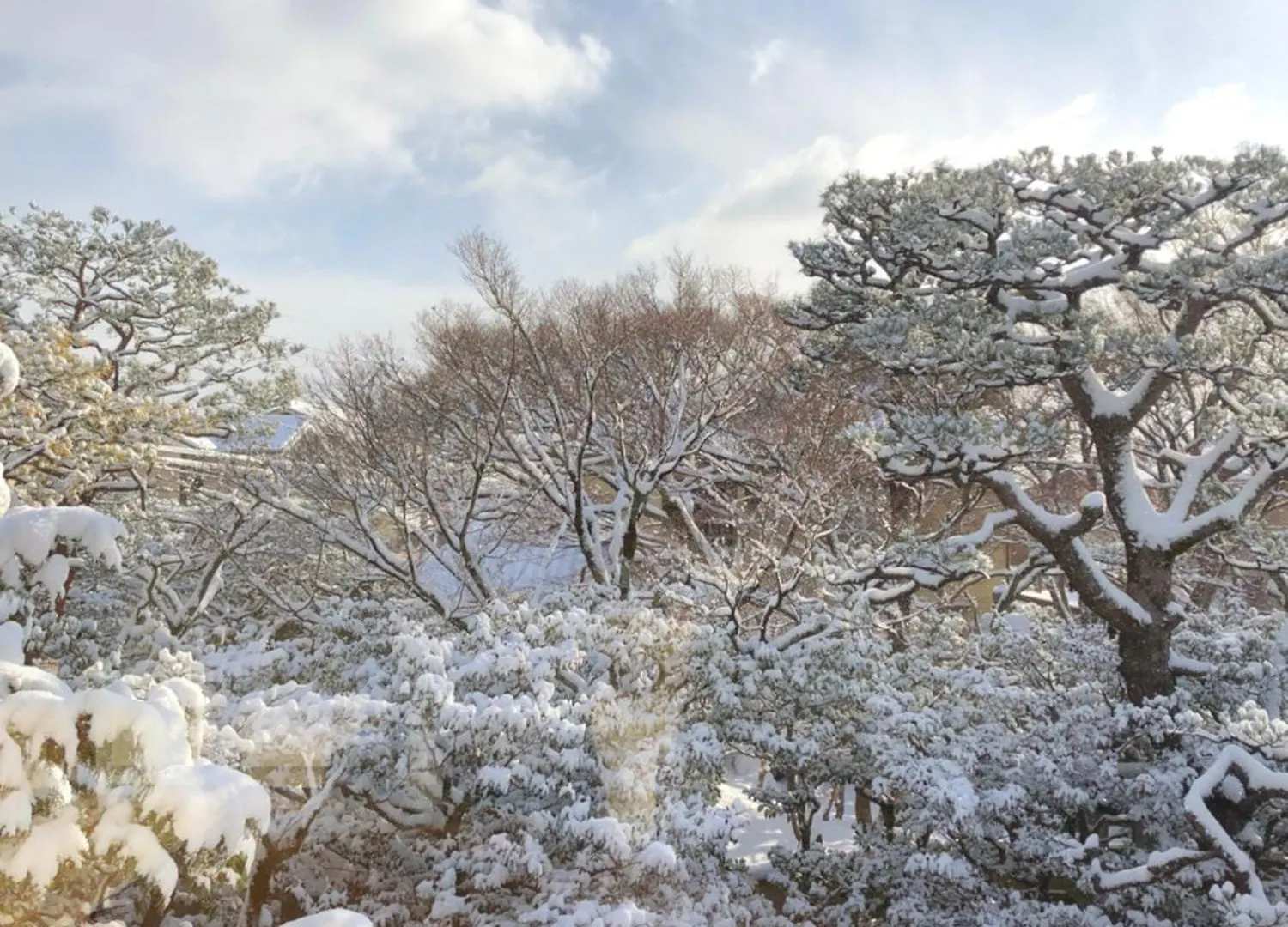 伝心庵 Garden Villa Denshin-An Kyoto 0*,  Japan