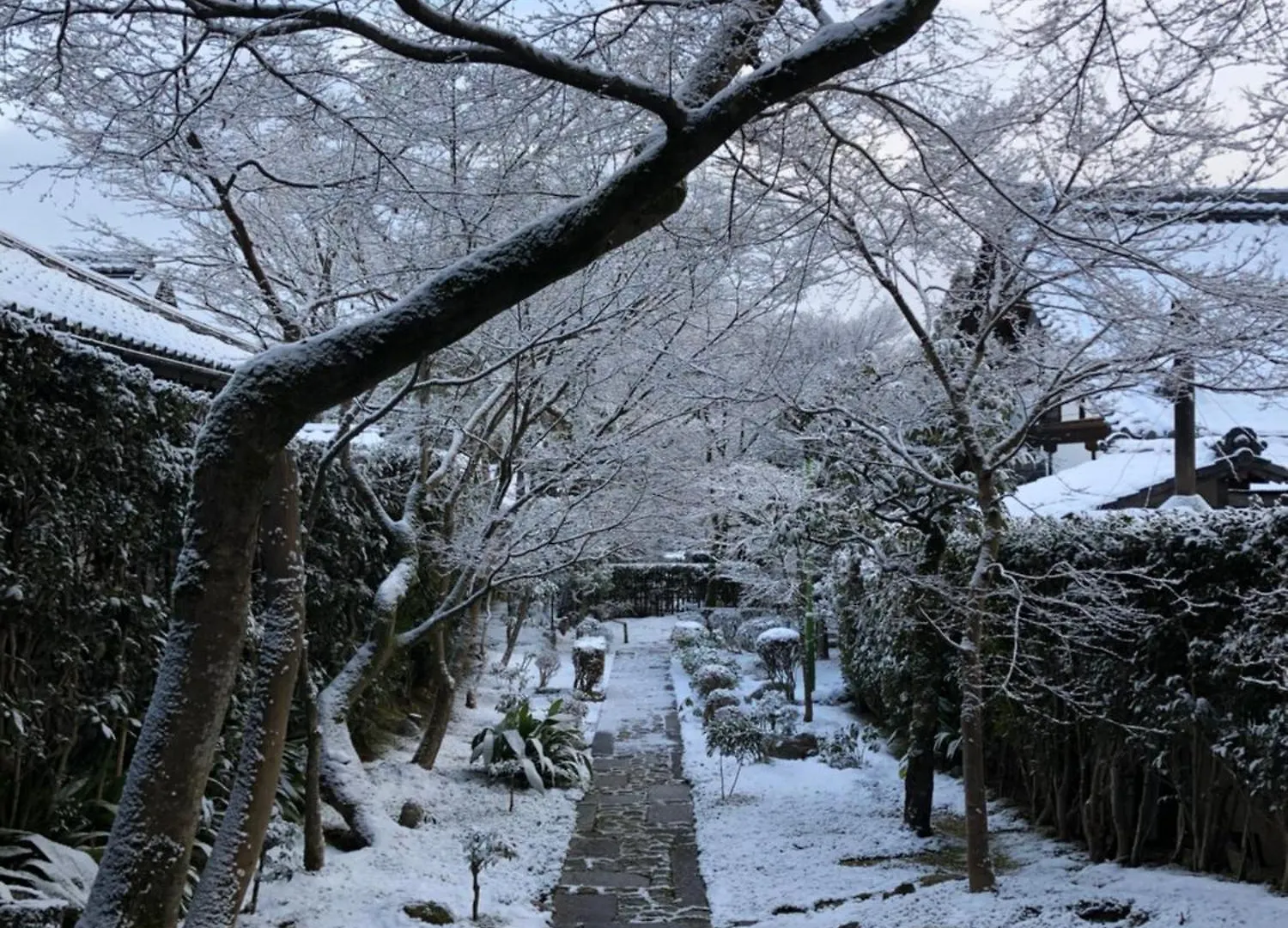 京都市 伝心庵ヴィラ 別荘
