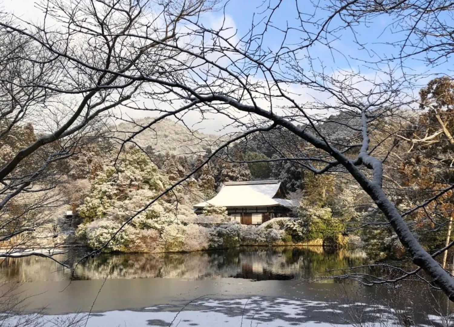 京都市 伝心庵ヴィラ