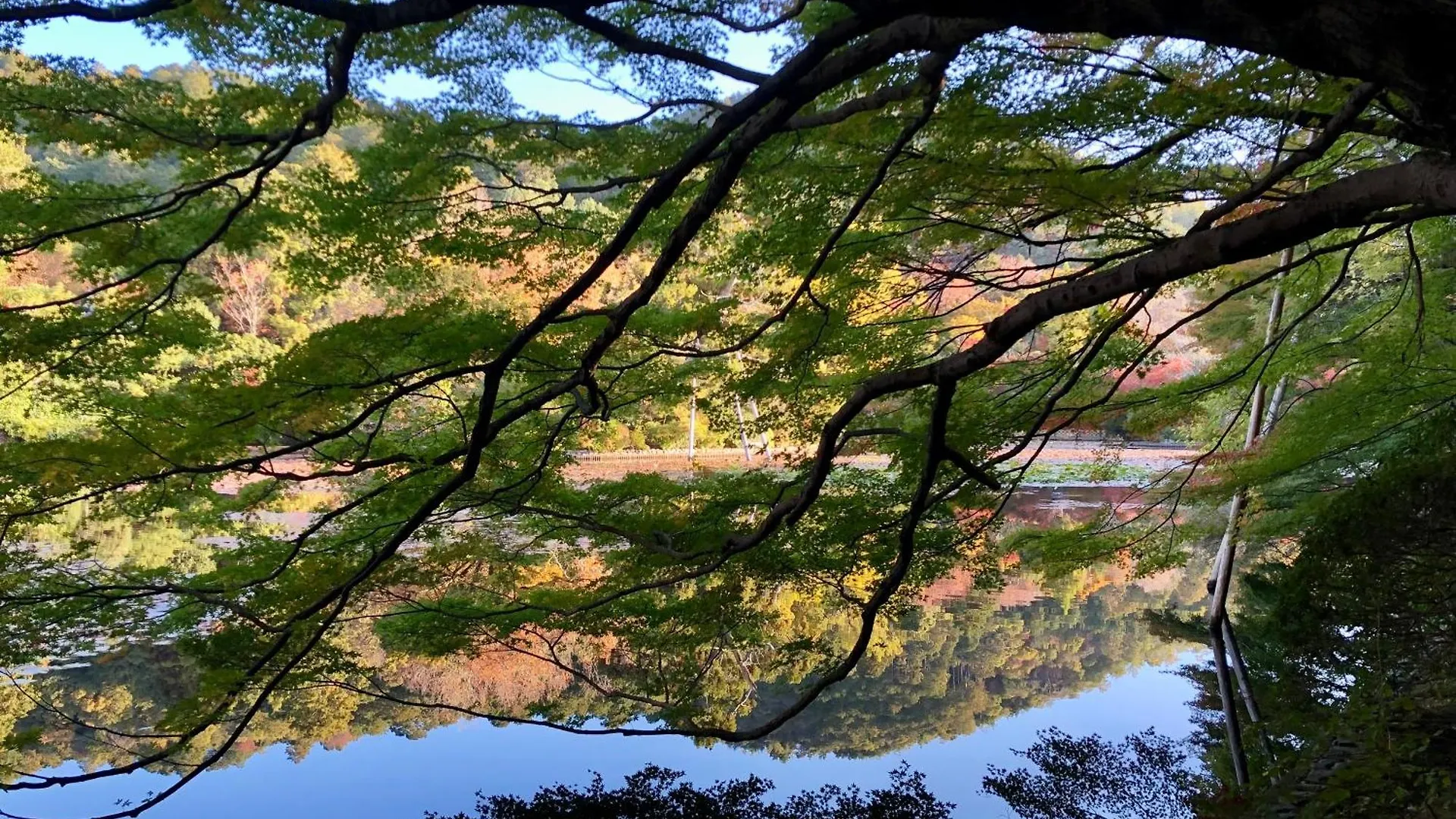 Vakantiehuis 伝心庵 Garden Villa Denshin-An Kyoto Japan