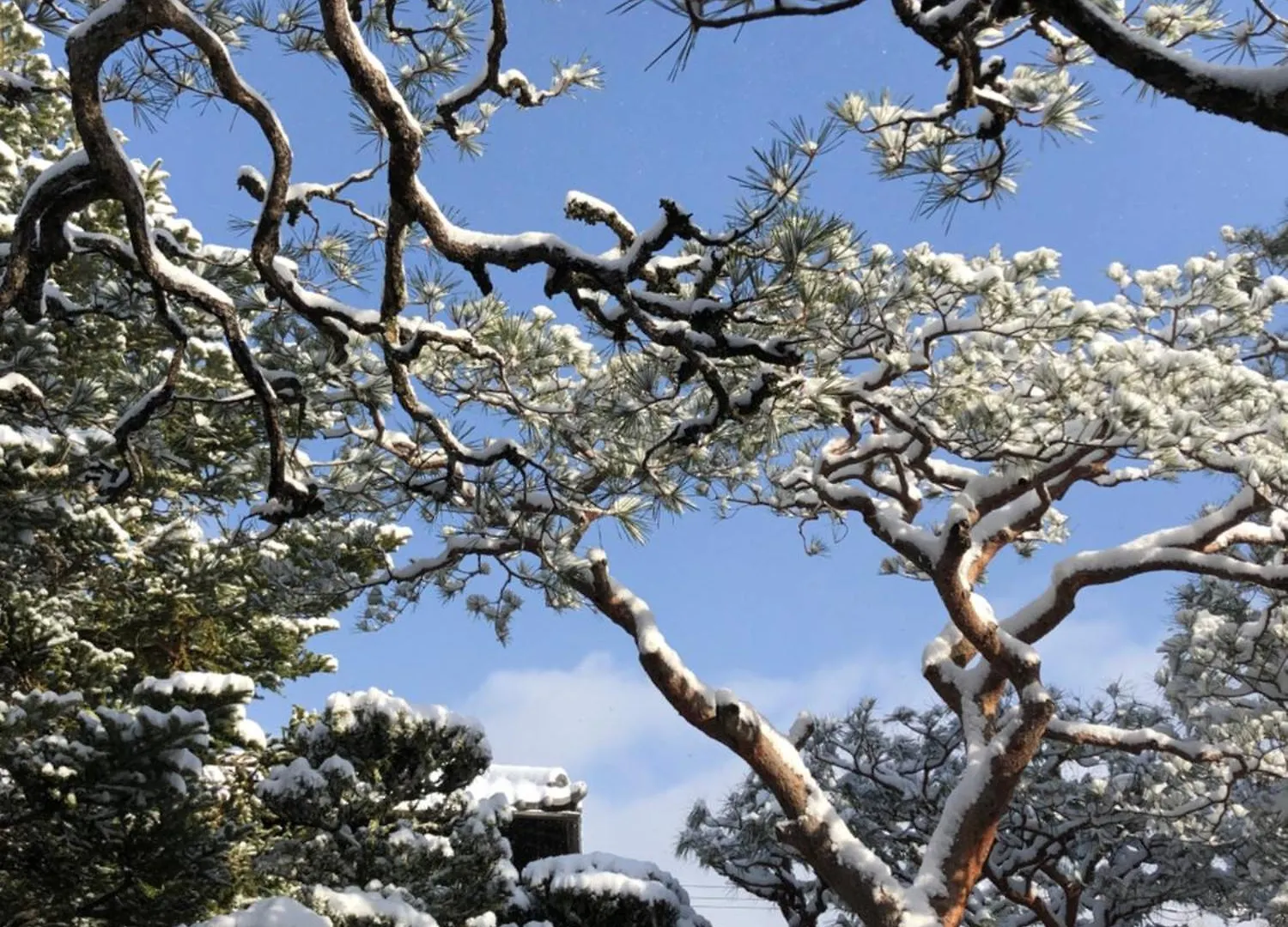 別荘 京都市 伝心庵ヴィラ
