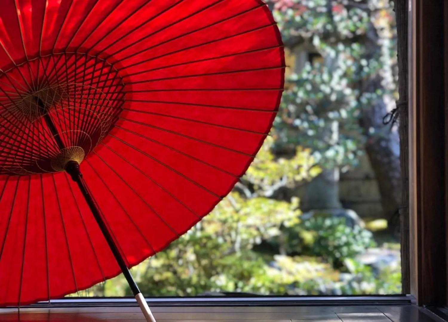 京都市 伝心庵ヴィラ 日本